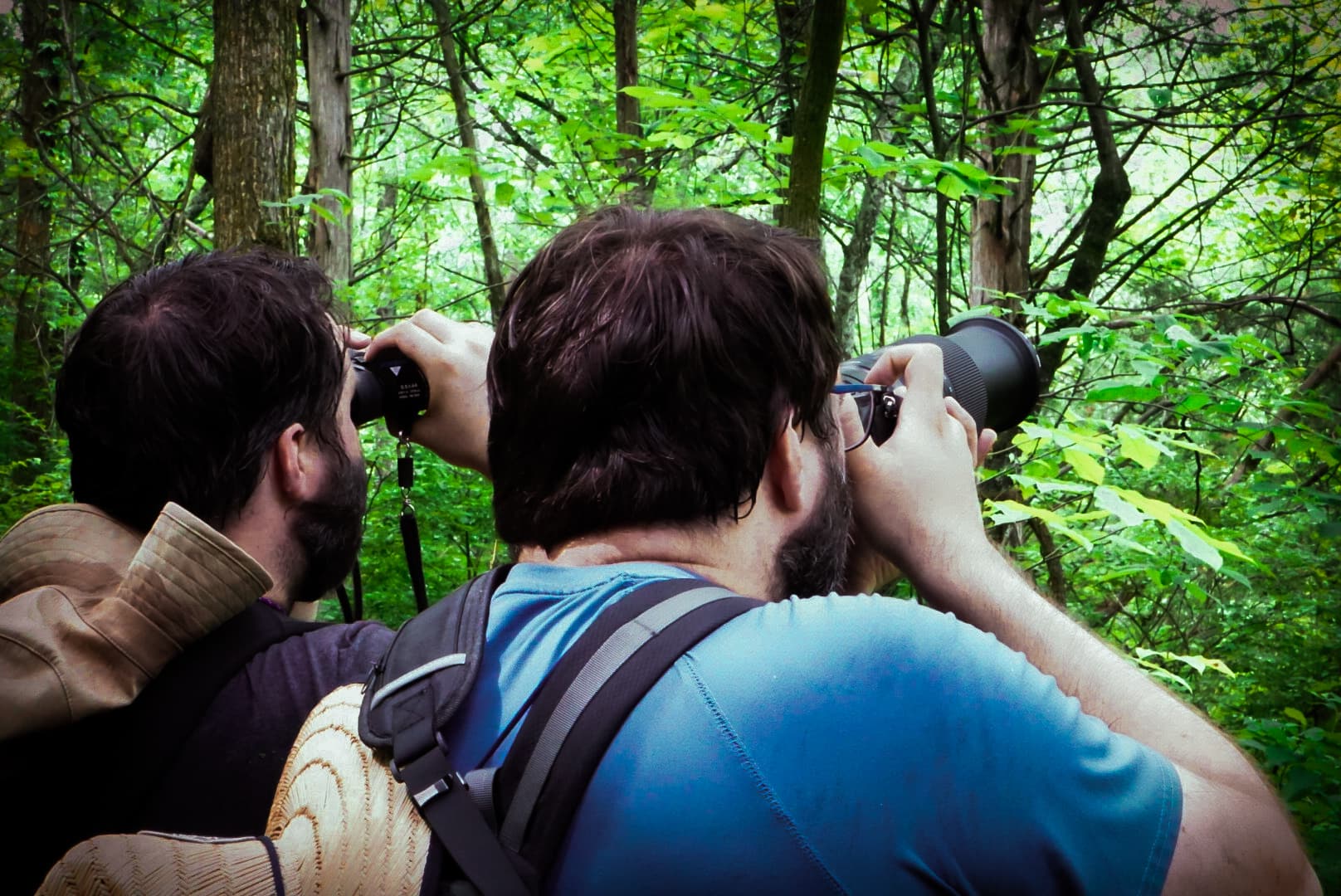 Two photographers in a forest -- one with binoculars, one shooting upward with a rented telephoto lens