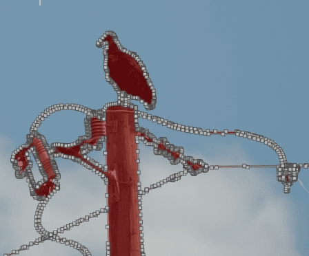 darktable mask closely follows turkey vulture, utility pole, and attached wiring