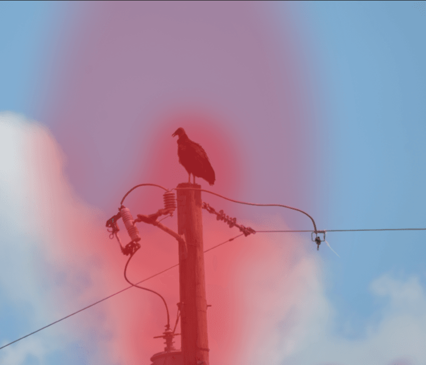 LightCraft red mask includes turkey vulture, pole, and broad surrounding sky