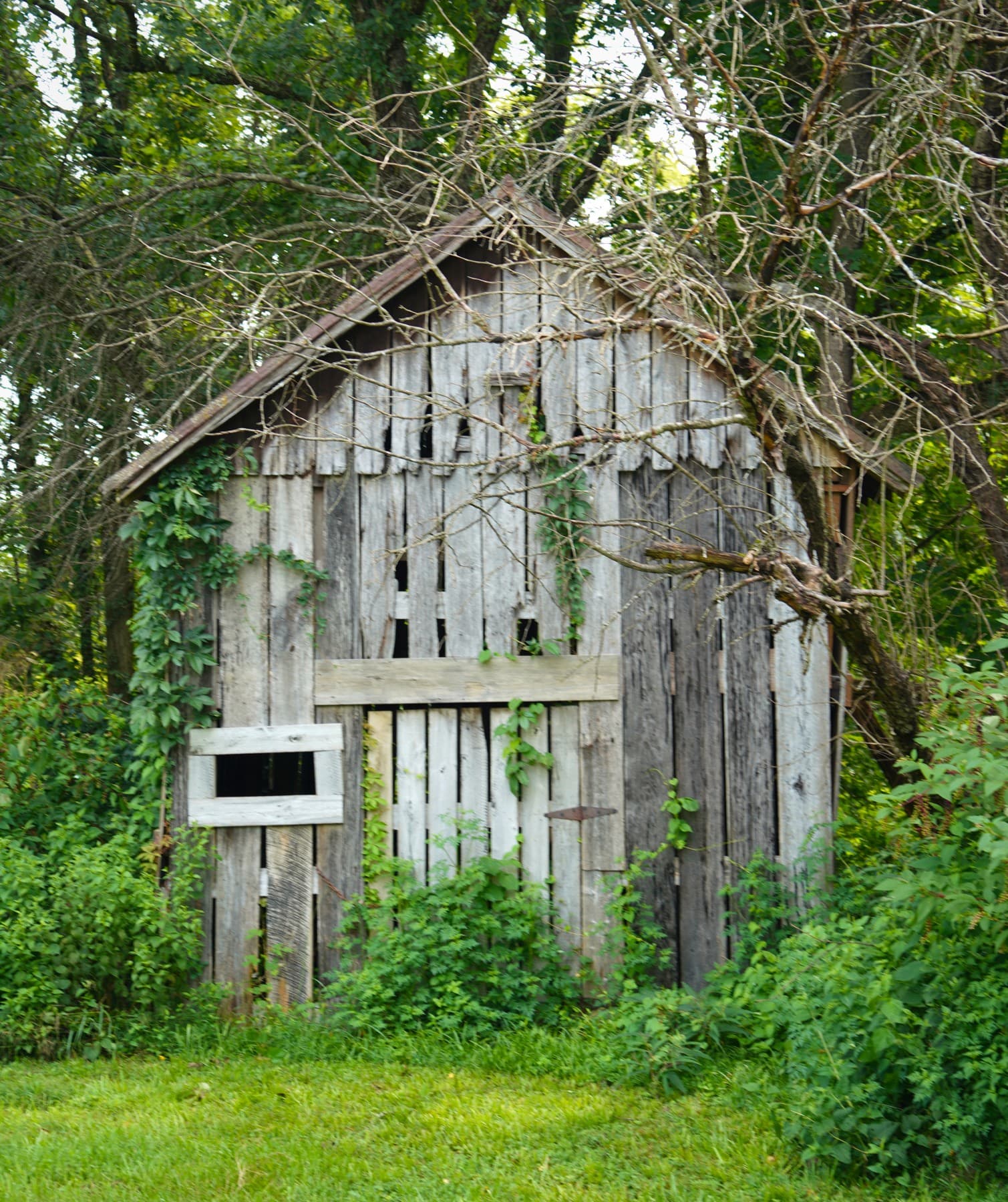 Minimal LightCraft edit of an old wooden shed