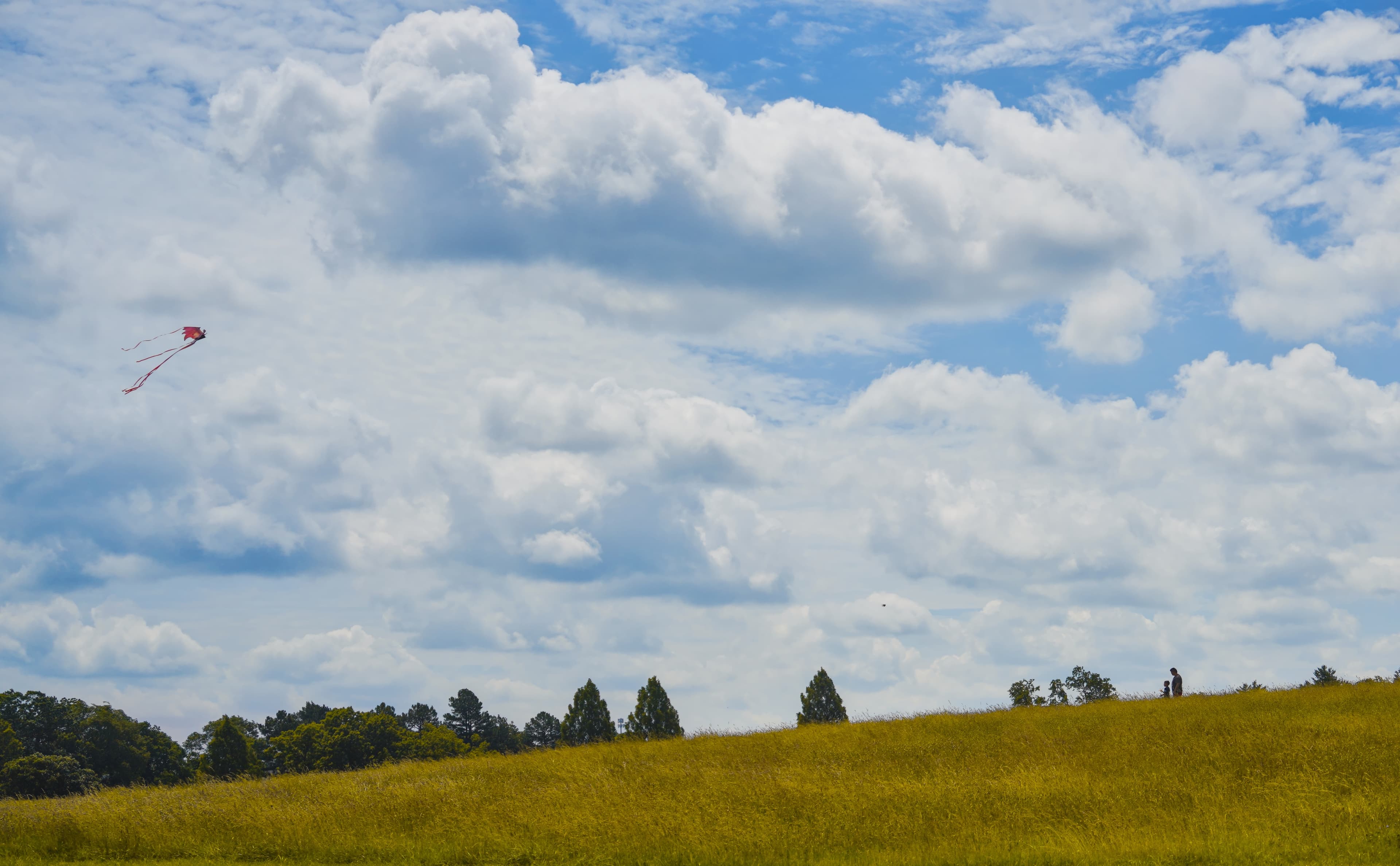 Red kite soaring above a golden-green hillside under a dramatic blue sky, two silhouetted figures on the ridge